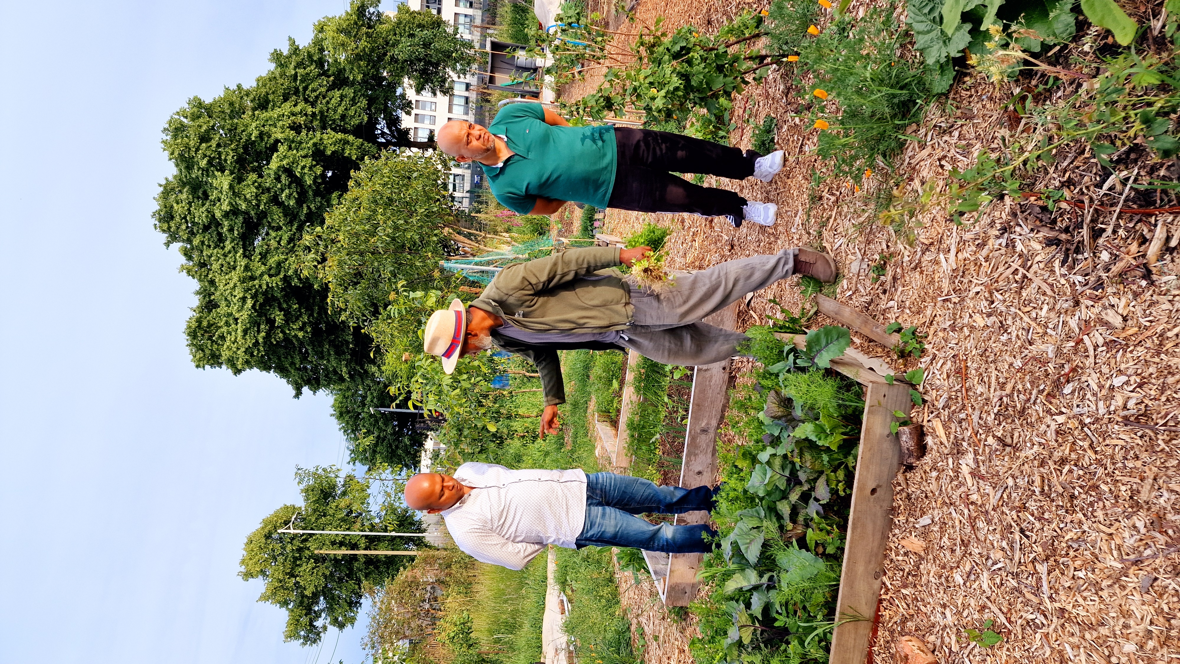 Gardening workshop in progress